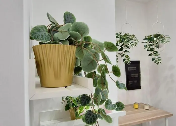 Allegrianapoletana Casa de hóspedes 4*